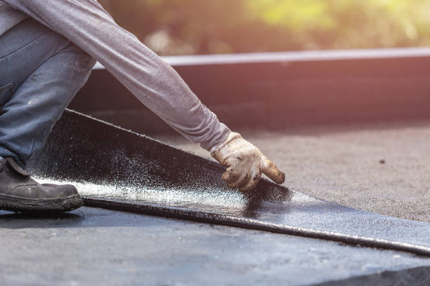Professional Waterproofing technician working in Trinity, AL